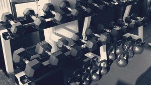 Slide 7 Free Img 300x169 1